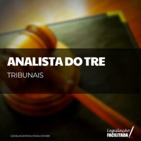 Analista do TRE 2025