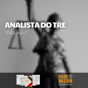 Vade Mecum - Analista do TRE 2025
